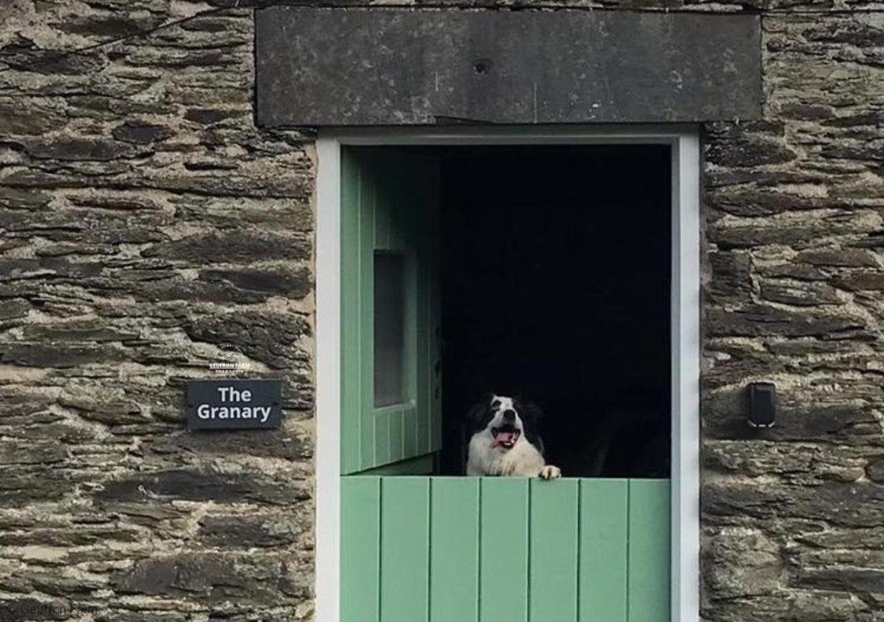 Dog Friendly Cottage, Geufron Farm Near Tywyn Bryn-crug Exterior foto